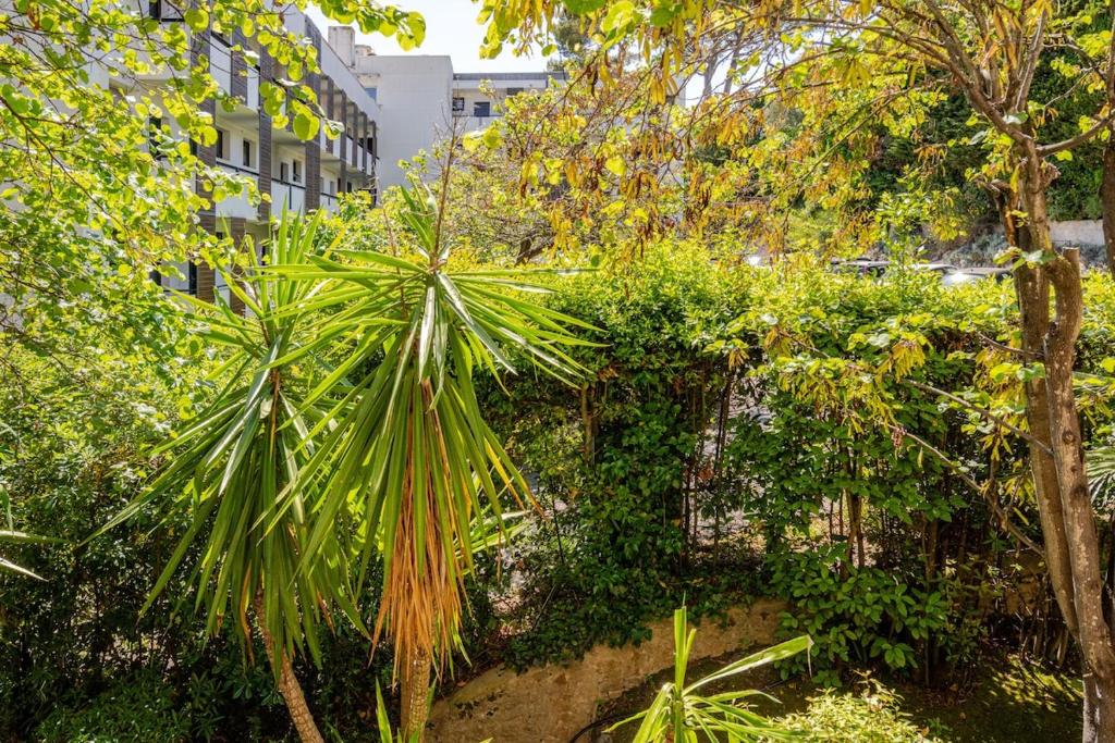 Le val fleuri Cannes Calme et Terrasse - 2
