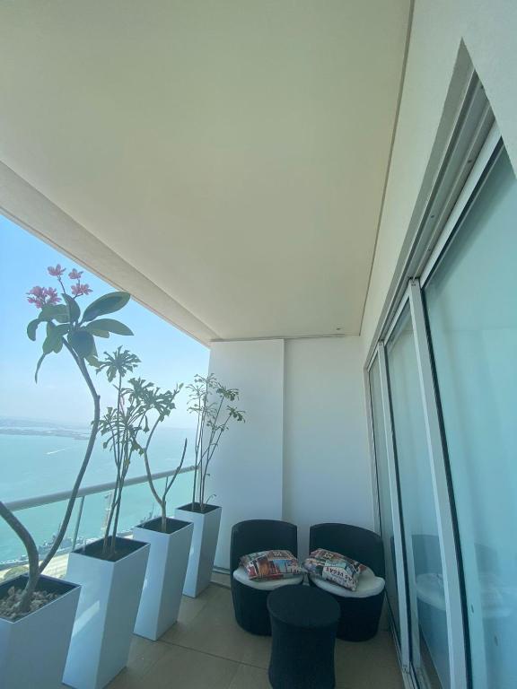 Hermoso apartamento en bocagrande - 4