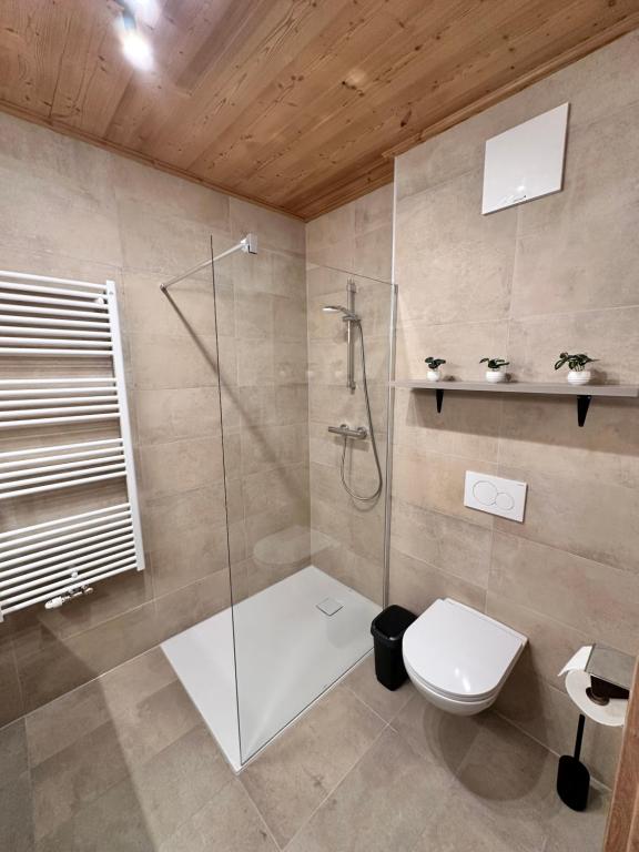 Alpin Studio Schladming 203 - 4