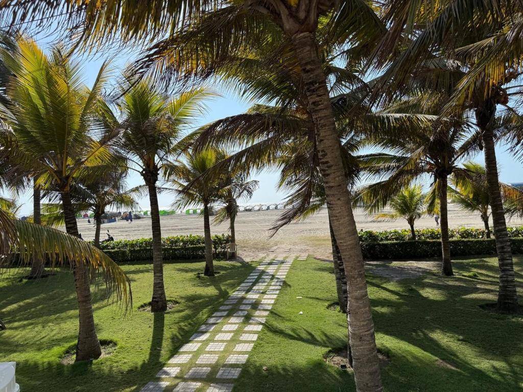 Apartamento exclusivo frente al mar salida directa - 5