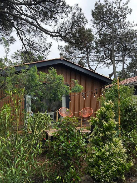 la cabane de la plage au milieu des pins parking privé 300m de la plage - 1