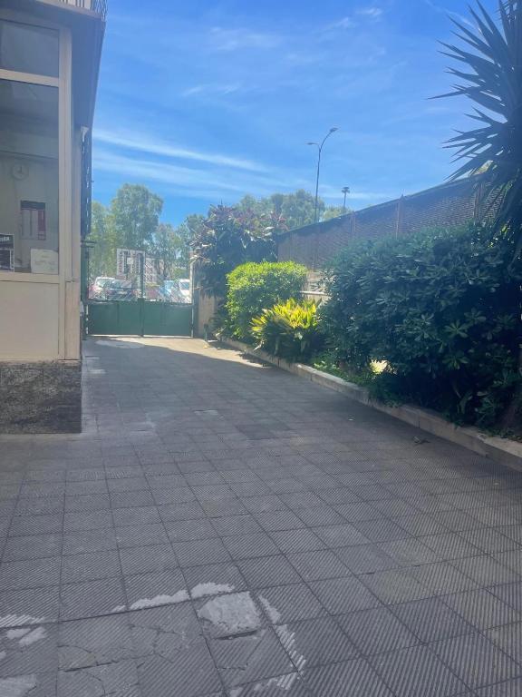 Partesia - 2