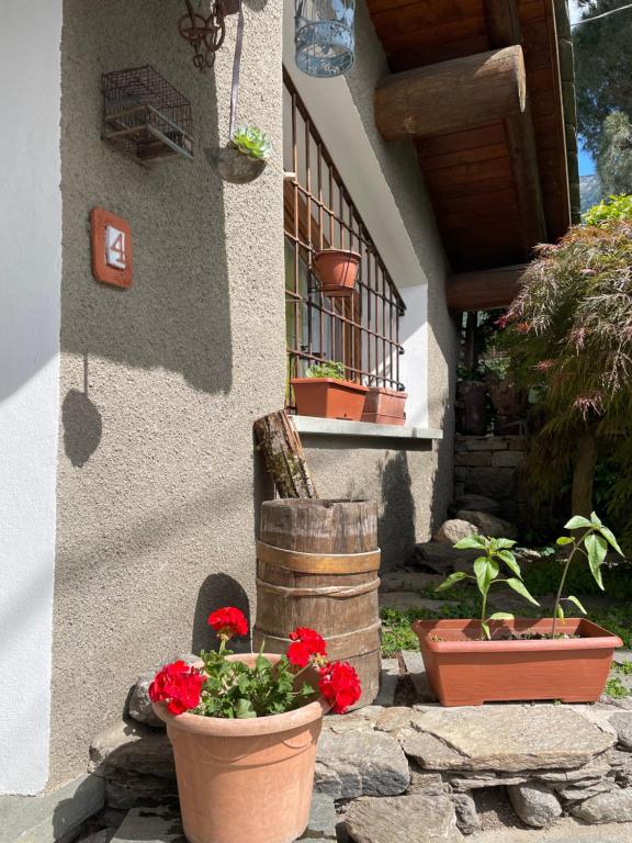 ROSINA HOUSE e CHALET - 2