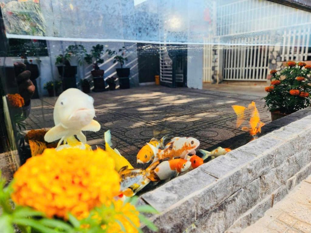 Huyền Anh Motel Cam Ranh