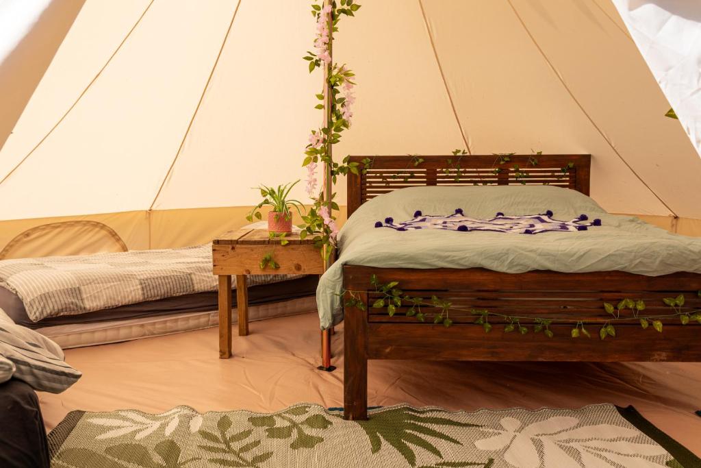 Battle Pods and Bells Glamping photo 2