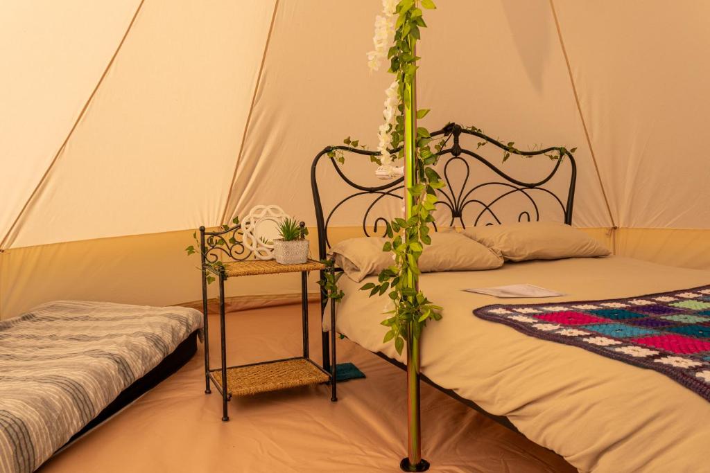 Battle Pods and Bells Glamping photo 5