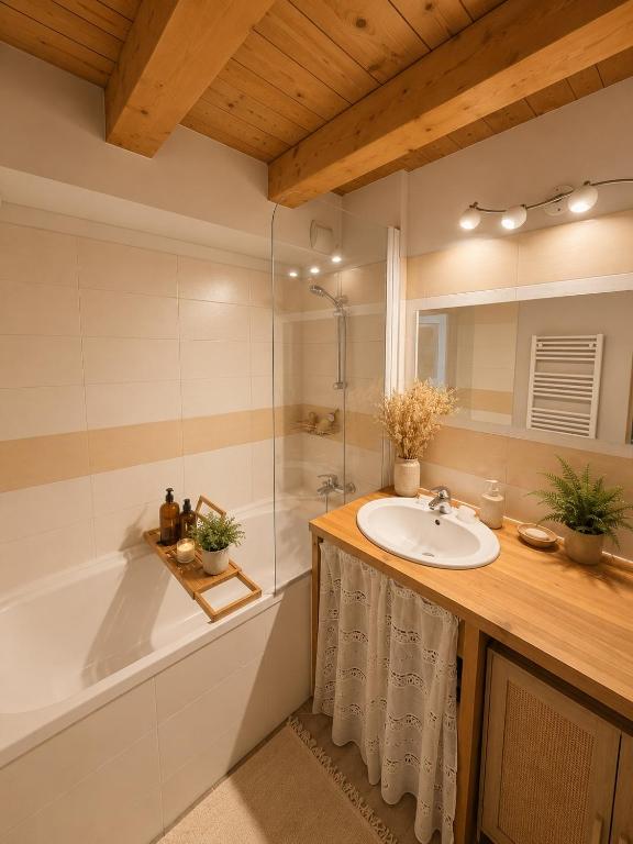 Appartement La Collégiale, au coeur de la vieille ville - 4