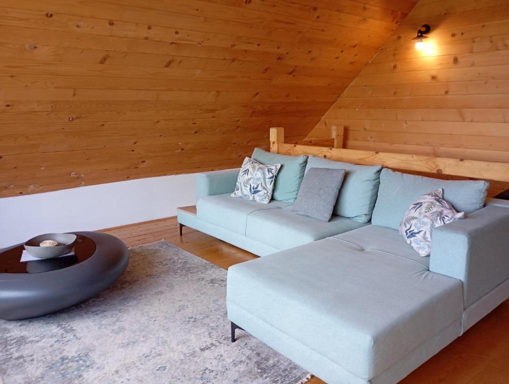 Hipi Nest - 5