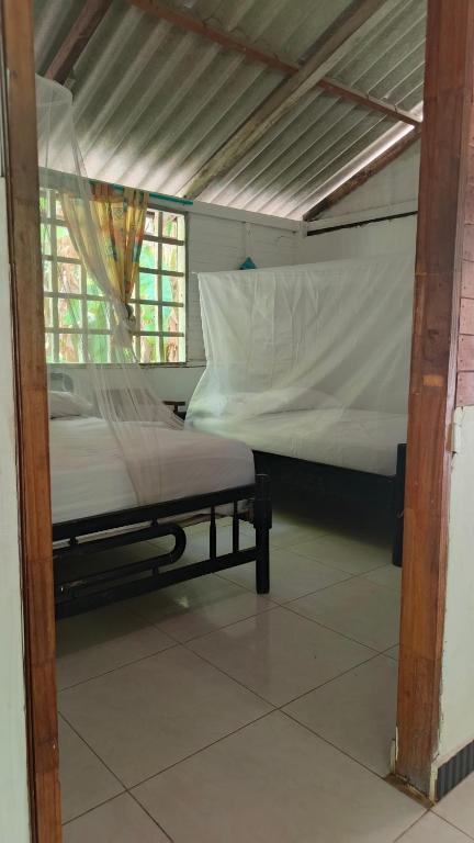 Coco Encantado Eco Hostal Camping - 3