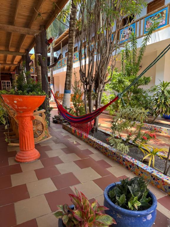 Sol y Mar tourist lodging - 2