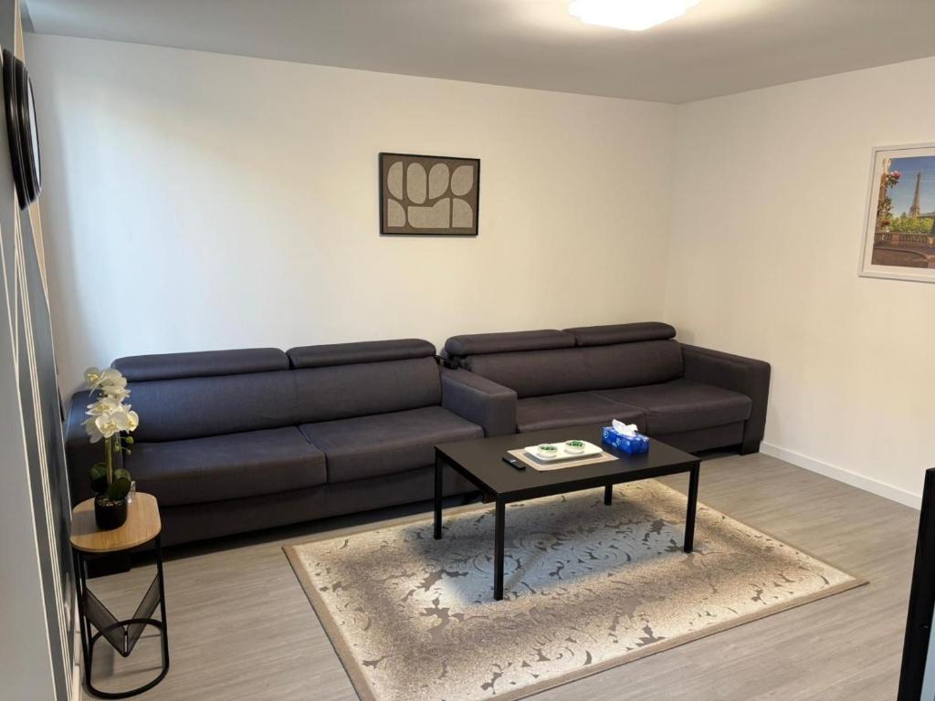Appartement centre-ville Mulhouse - 3