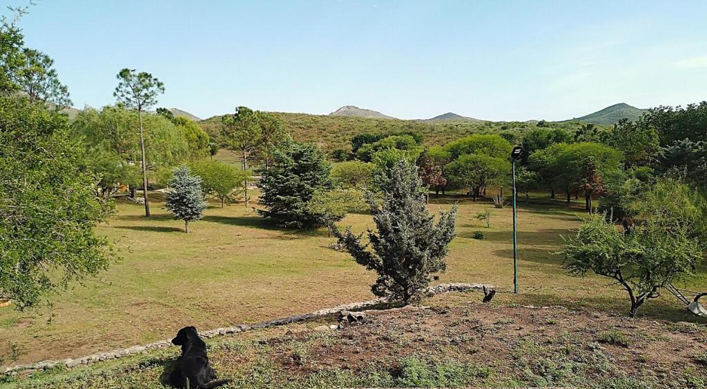 Rancho Suite Tiny House en Campo Los Pinares - 2