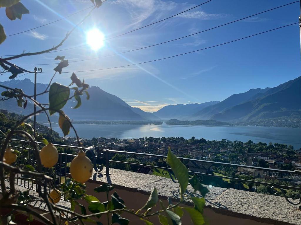 Lake-view terrace - Wines and specialities of Domaso - 2