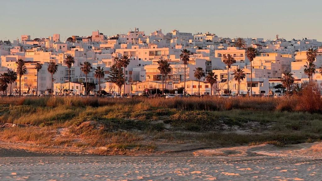 Playa de Conil - 1