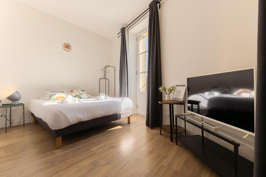 Magnifiques Appartements - Face a la Gare - 4