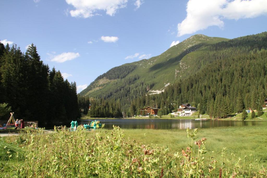 Alpen Appartements Zauchensee - 5