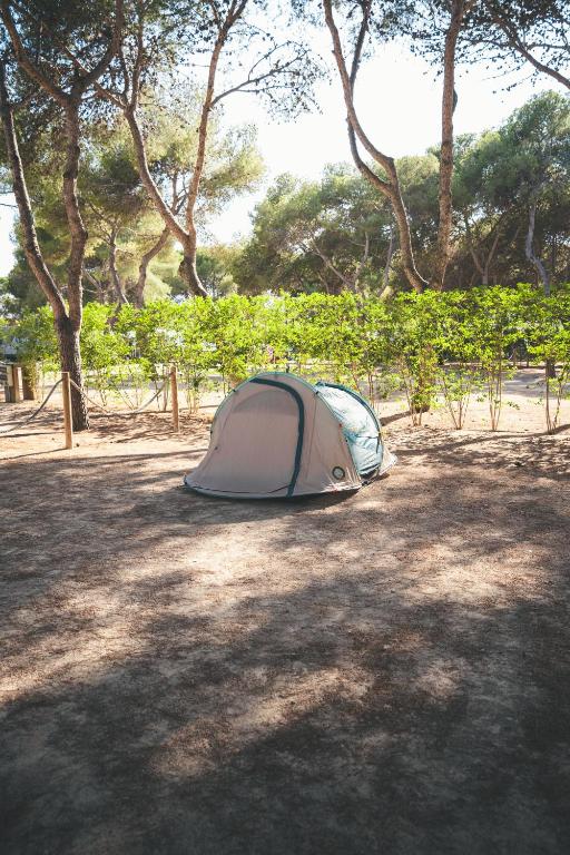HolaCamp Sitges Garrofer - 3