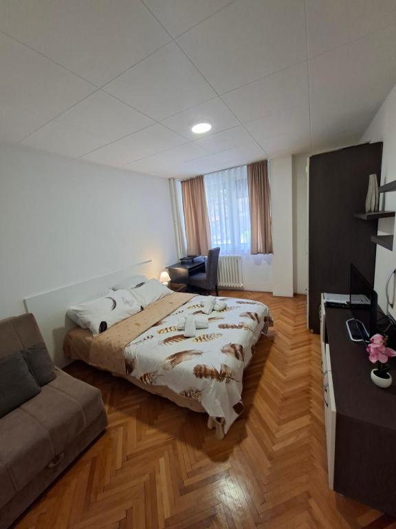 Apartman Pesic Niš - 4