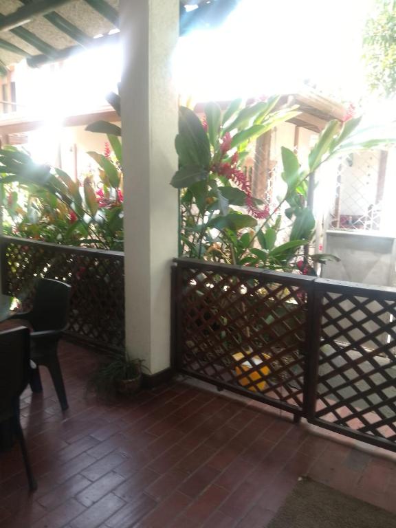 La Casa de la abuela - 3