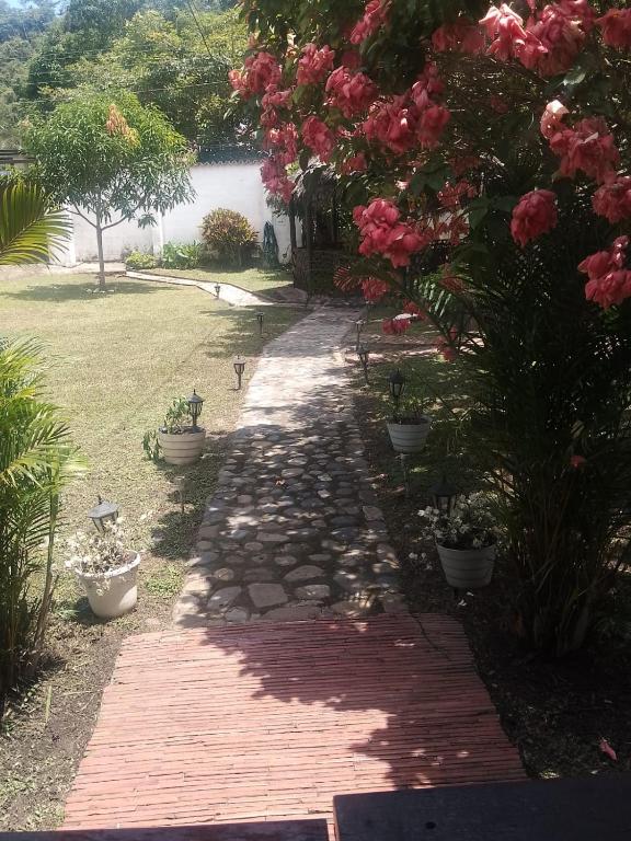La Casa de la abuela - 4