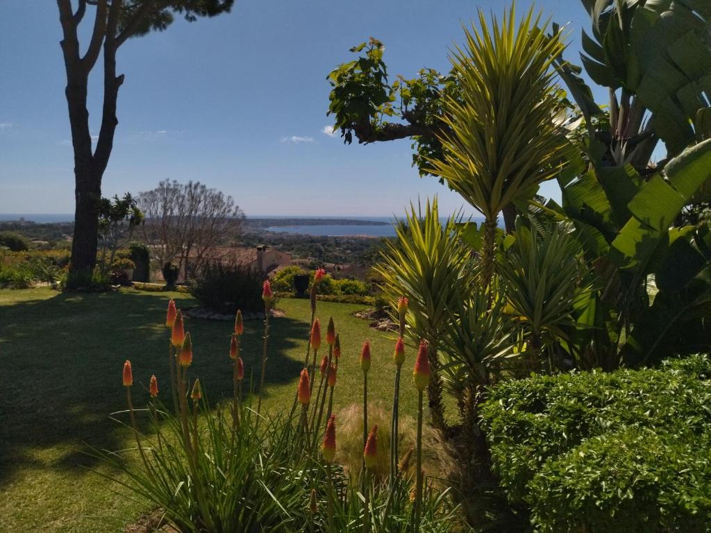 Le mas des iris Antibes vue mer - 3