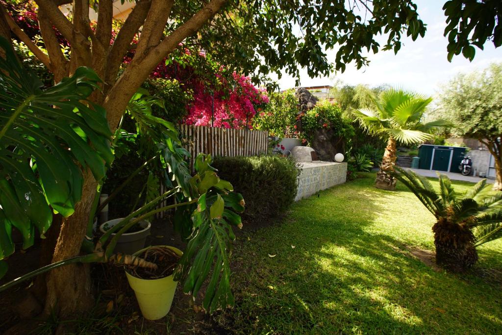 City Garden Apartment - 2