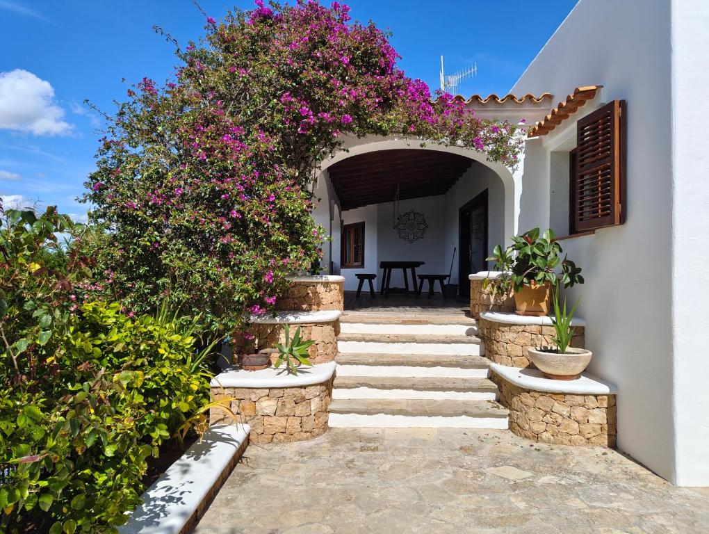 Casa Rasgos - Villa con Piscina, Sauna y Barbacoa - 3