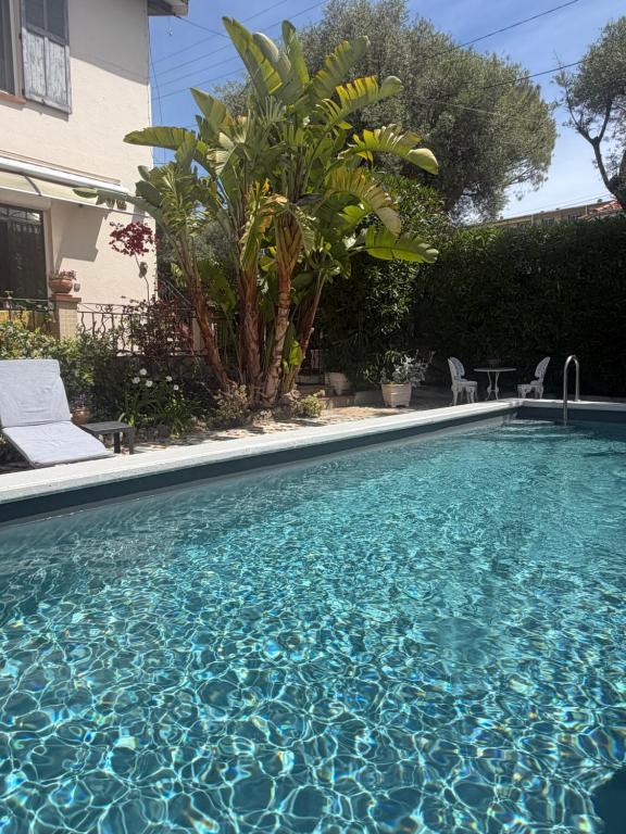 Très beau Studio lumineux dans Villa avec piscine - 3