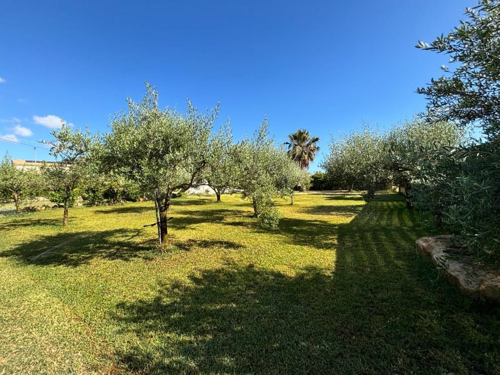 La dimora di Rosalba - 3