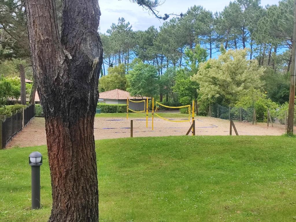 Studio dans résidence Pierre et Vacances avec vue sur piscine entre plage et golf - 2