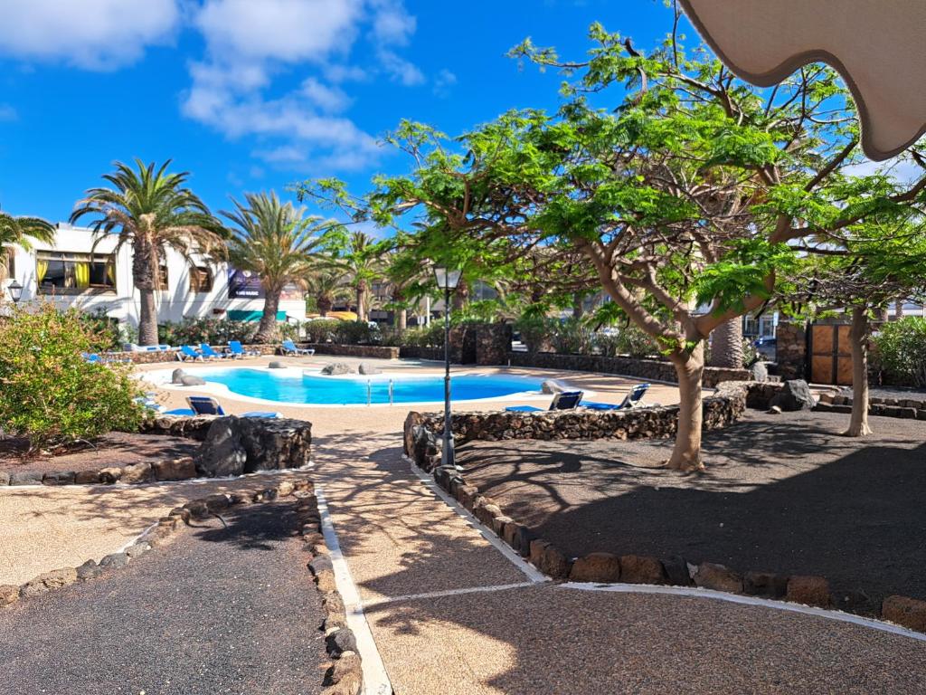 Casa jablillo Premium - 3