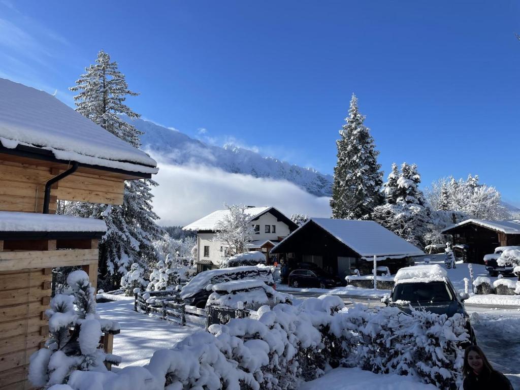 Holzchalet Tauplitz - 3