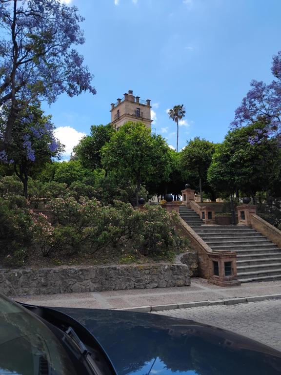 La Casa de Pepa - 3