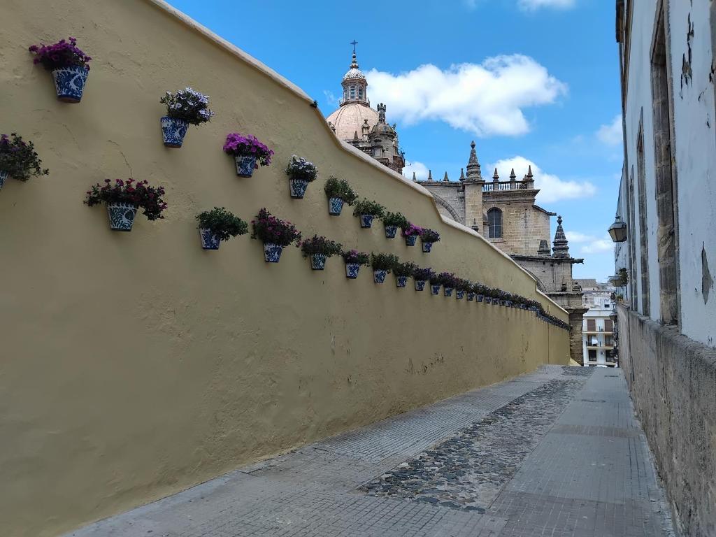 La Casa de Pepa - 4