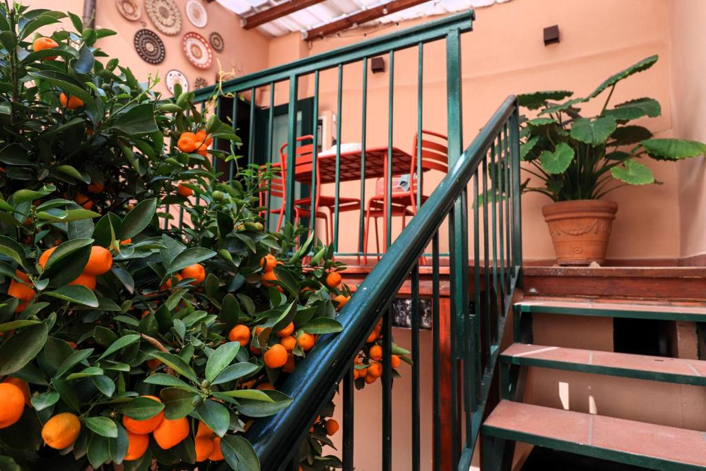 Colosseo Garden Lodge - 3