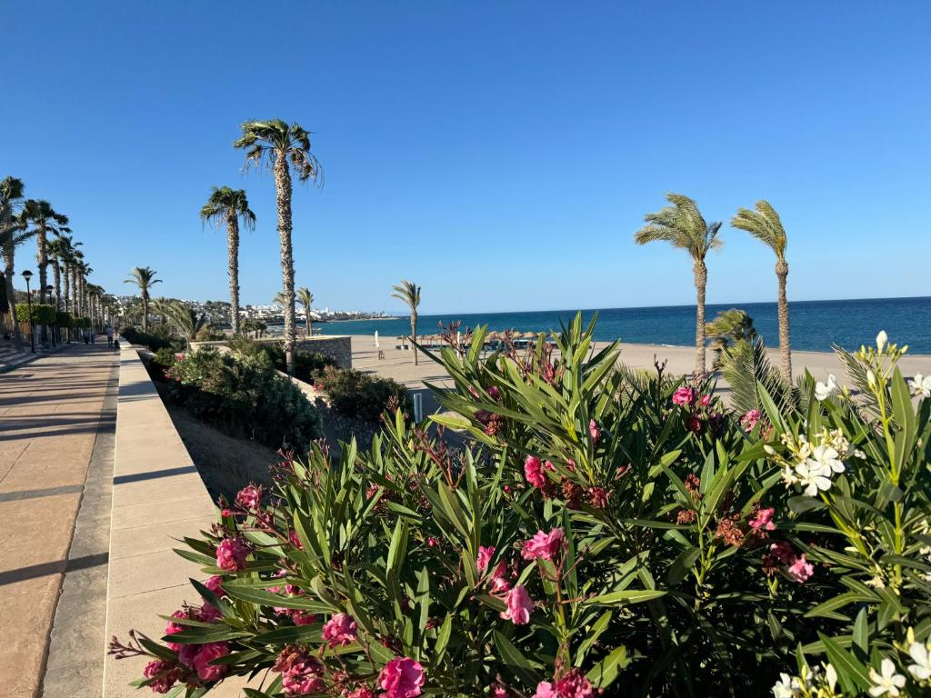 Panoramic Atalaya - 4