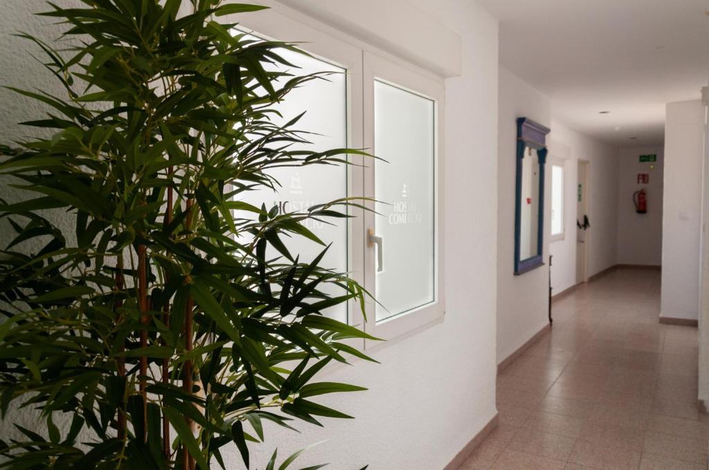 Hostal Comercio - 3