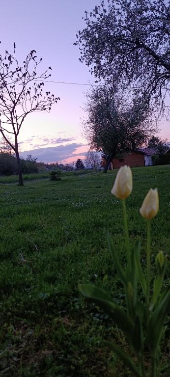 Sweet Home Visoko FREE PARKING, AC, RENT A CAR - 5