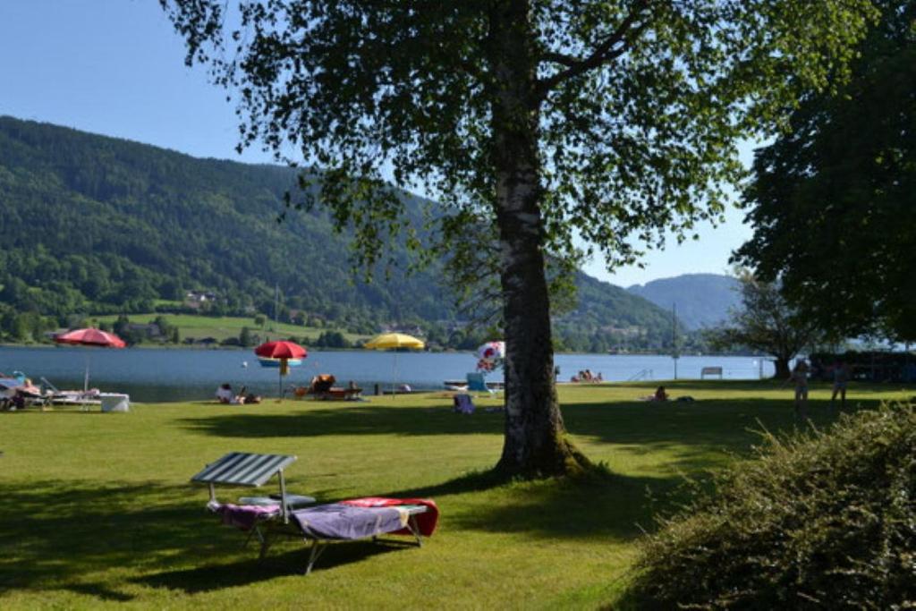Luxescape - Ferienwohnung Steindorf - Ossiachersee - Wander-Schwimmen - Erlebnis Card - 4