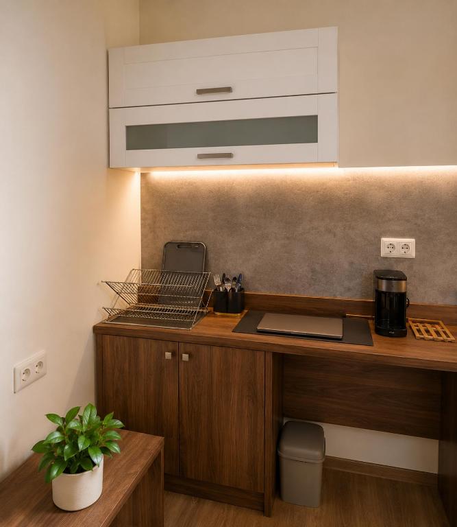 Alpine Studio near Bad Ischl - 3