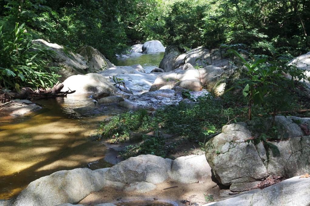Estudio Rio Arriba - 5