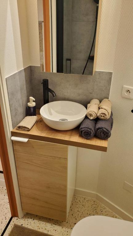 Le Terra Cottage - Studio in Clermont-Ferrand - 5