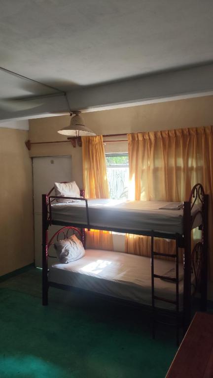 Jungle Palace hostel santaella - 4
