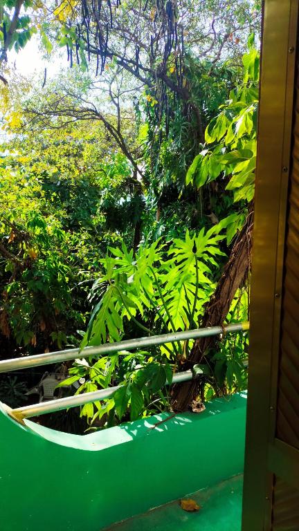 Jungle Palace hostal santaella - 3