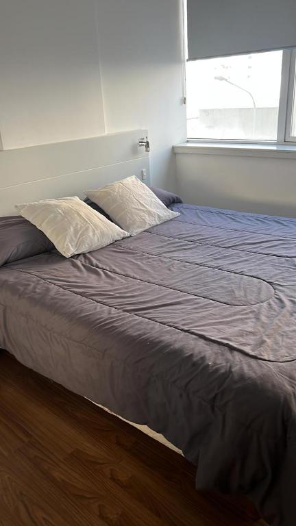 Departamento Alsina y Lamadrid - 2