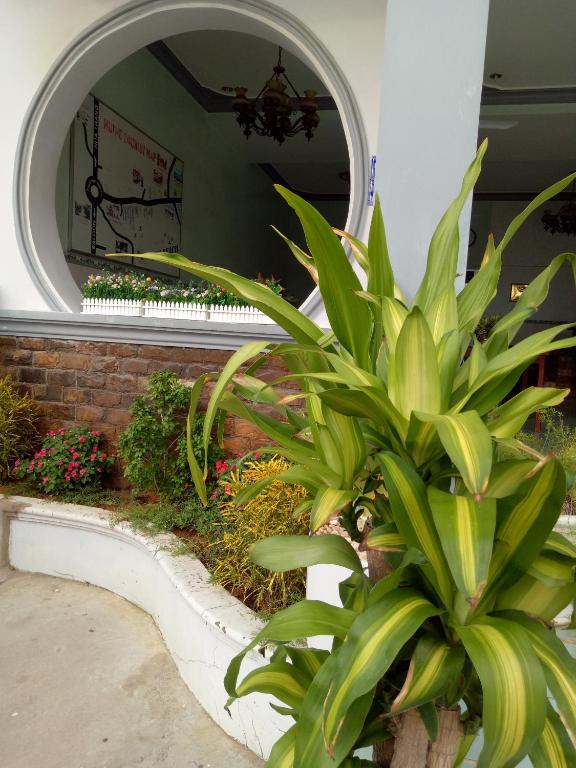 Son Tra Guesthouse photo