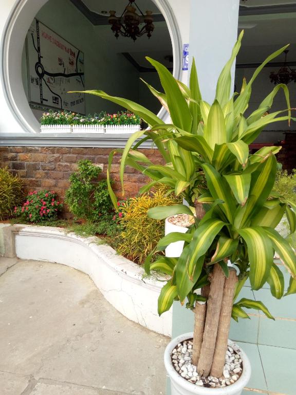 Son Tra Guesthouse photo
