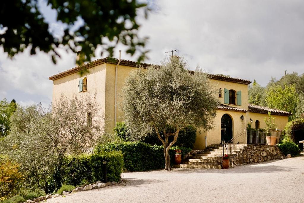 Luxury 7 bedroom villa with pool and independent cottage - 3