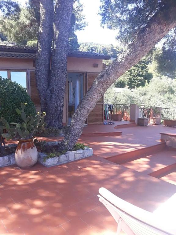 Villa fronte mare con terrazza, spiaggia e piscina - 3