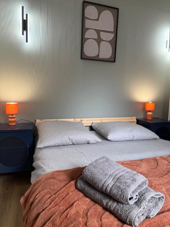 Duplex T2 cosy - Hyper Centre - Parking privé - 2